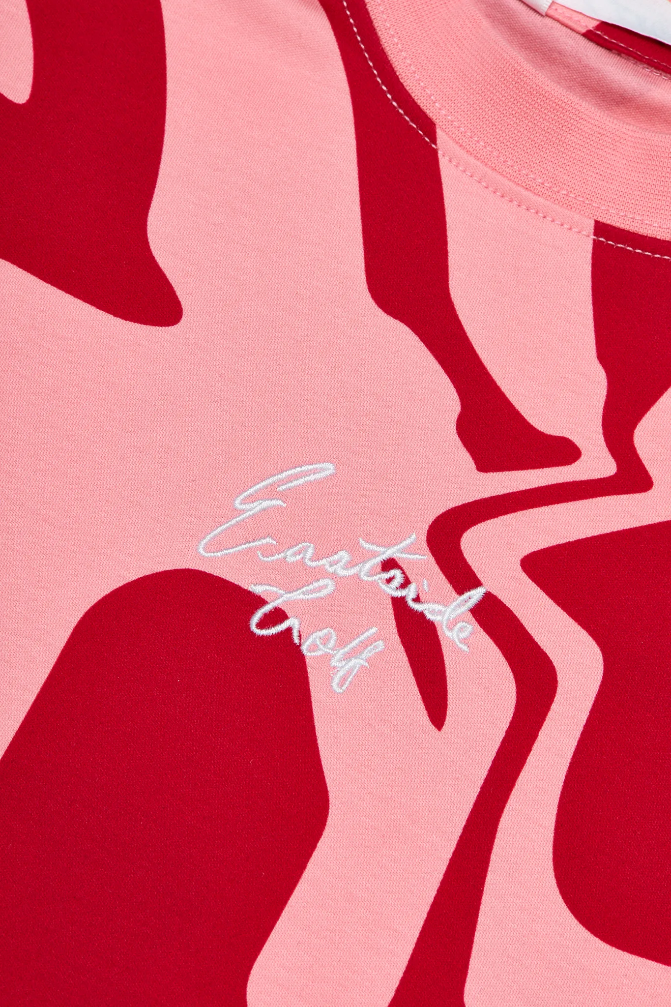 Dianthis LCD Pink Women's Oversized Cropped Tee