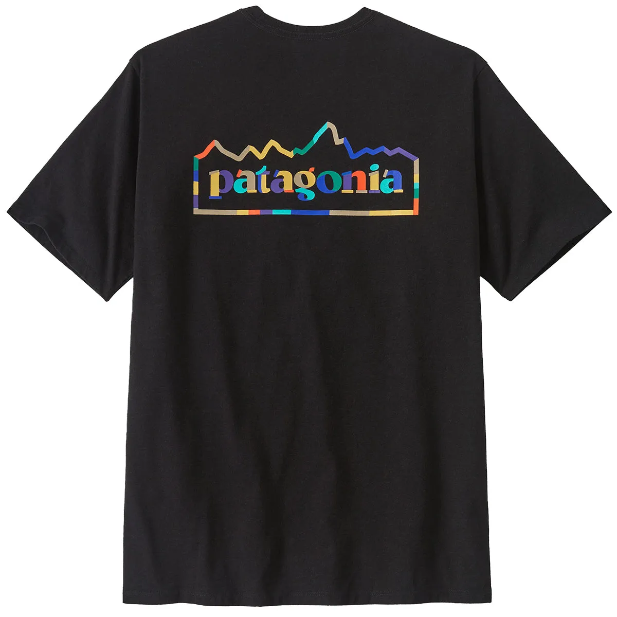 Patagonia Unity Fitz Responsibili-Tee T-Shirt