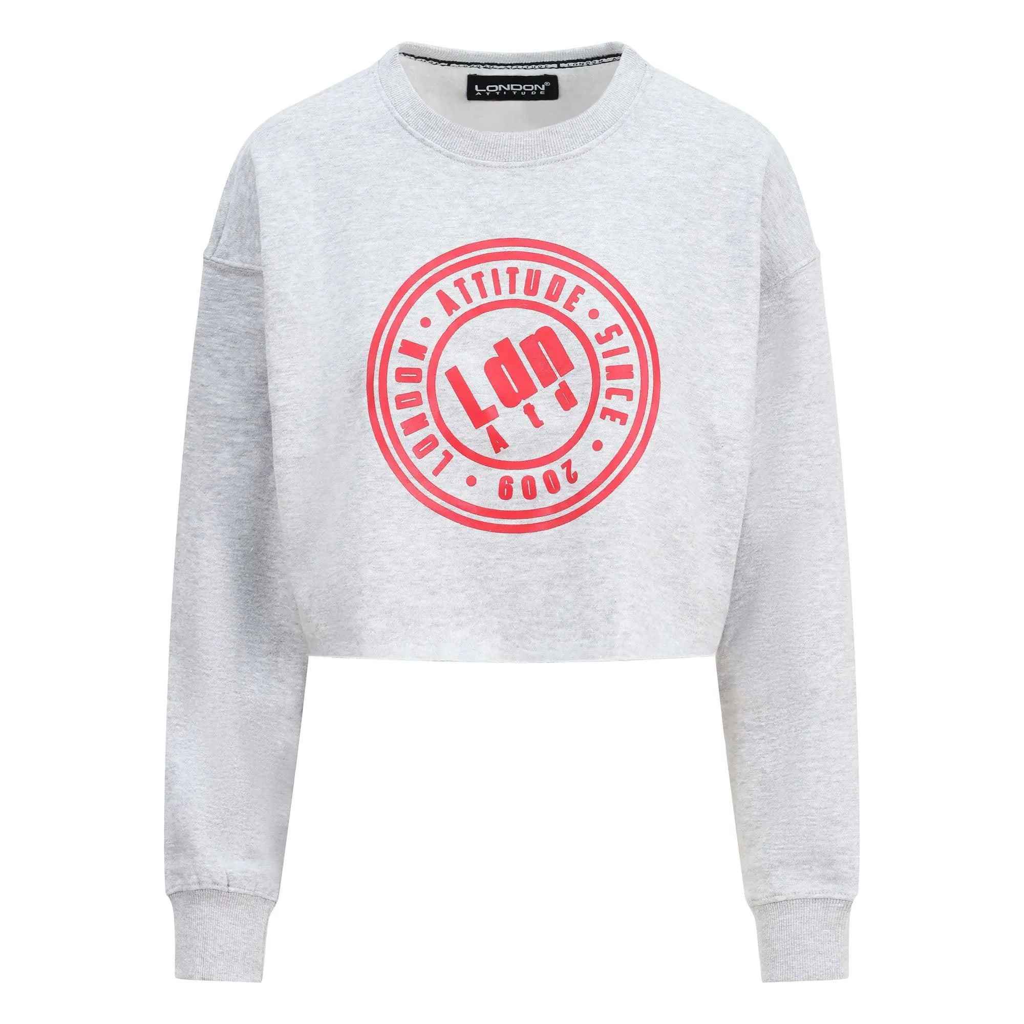 Women's Relaxed Fit  Logo Printed Cropped Sweatshirt Grey