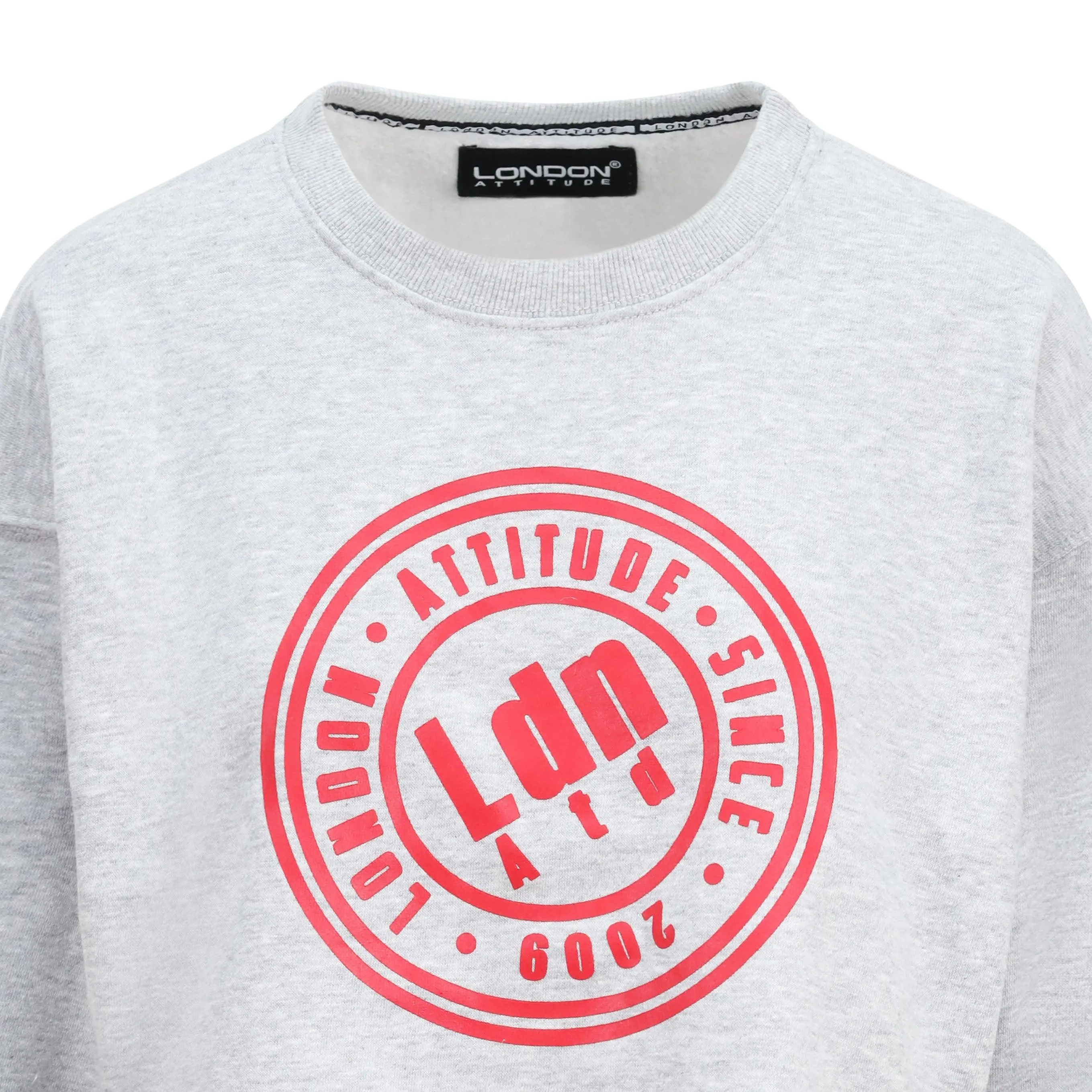 Women's Relaxed Fit  Logo Printed Cropped Sweatshirt Grey