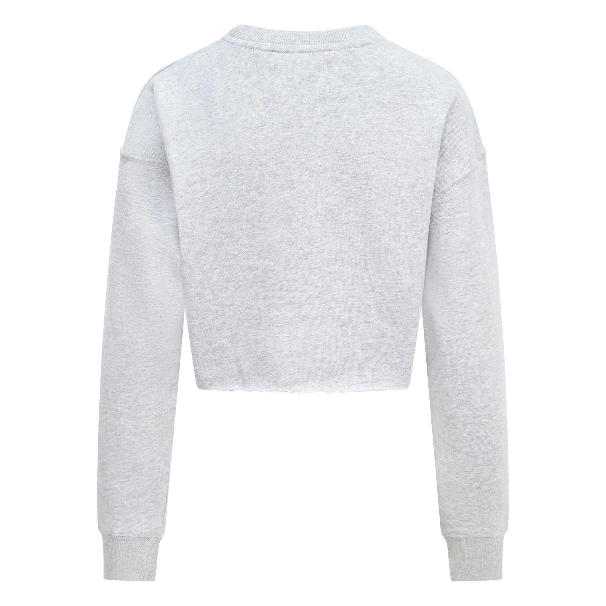 Women's Relaxed Fit  Logo Printed Cropped Sweatshirt Grey